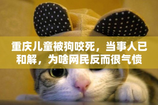 重慶兒童被狗咬死，當事人已和解，為啥網民反而很氣憤