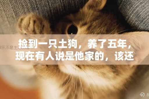 撿到一只土狗，養了五年，現在有人說是他家的，該還嗎