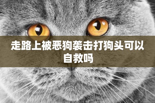 走路上被惡狗襲擊打狗頭可以自救嗎