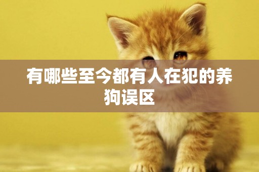有哪些至今都有人在犯的養狗誤區