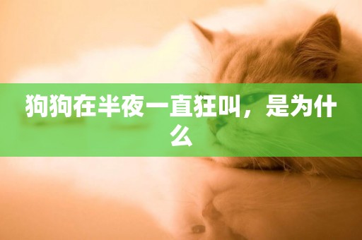 狗狗在半夜一直狂叫，是為什么