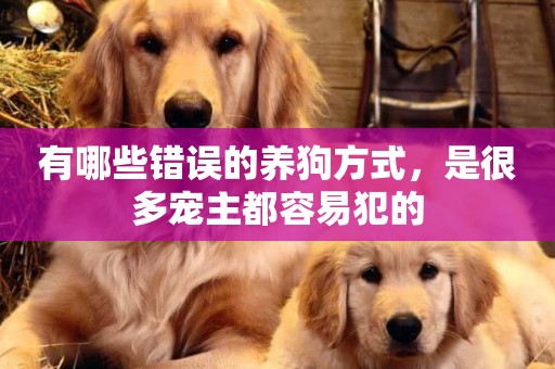 有哪些錯誤的養狗方式，是很多寵主都容易犯的