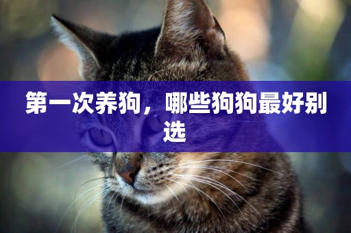 第一次養狗，哪些狗狗最好別選