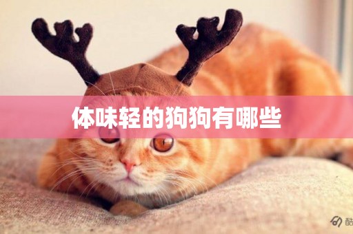 體味輕的狗狗有哪些