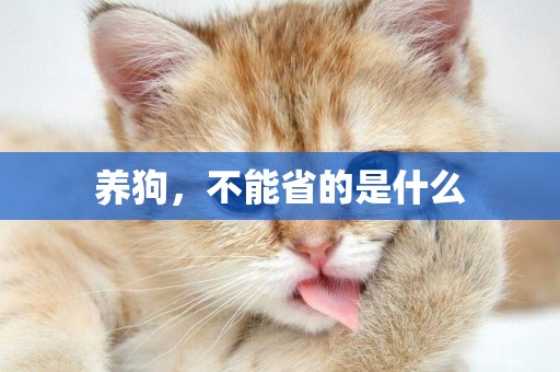 養狗，不能省的是什么
