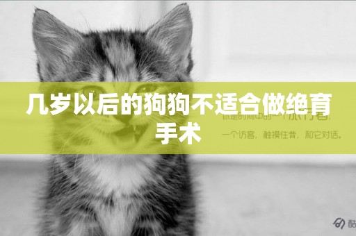 幾歲以后的狗狗不適合做絕育手術