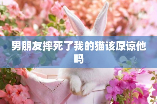 男朋友摔死了我的貓該原諒他嗎