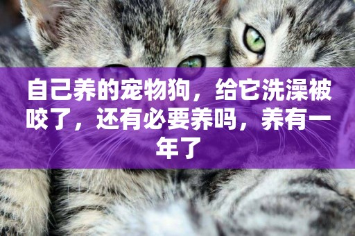 自己養的寵物狗，給它洗澡被咬了，還有必要養嗎，養有一年了