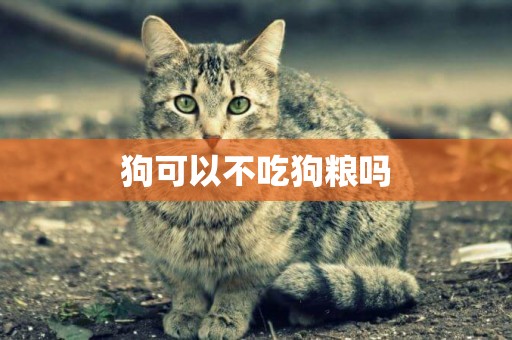 狗可以不吃狗糧嗎
