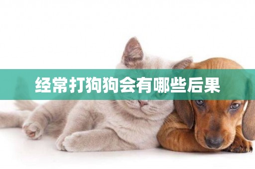 經常打狗狗會有哪些后果
