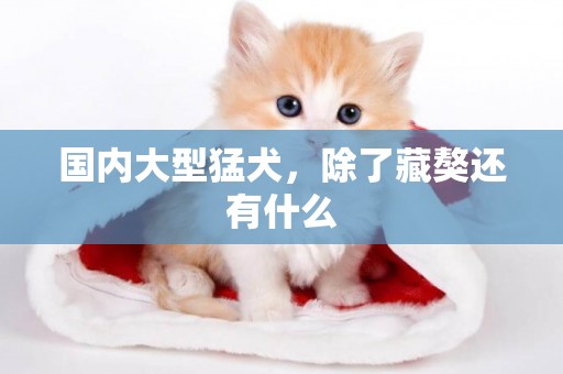 國內大型猛犬，除了藏獒還有什么