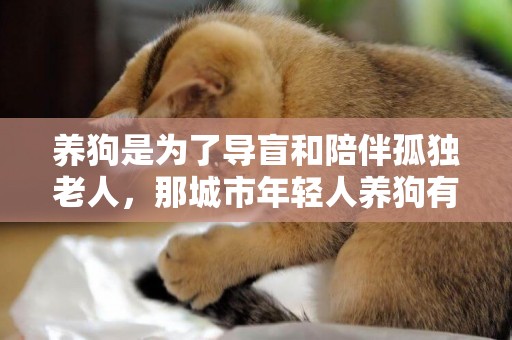 養狗是為了導盲和陪伴孤獨老人，那城市年輕人養狗有理由養狗嗎