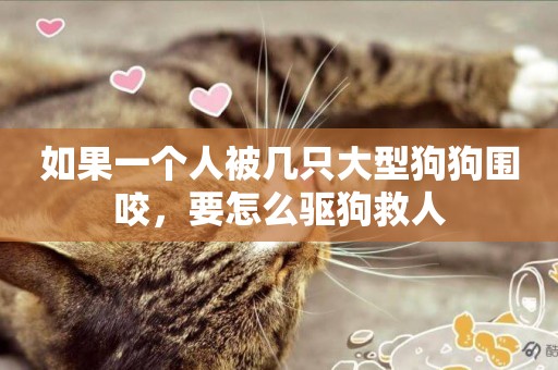 如果一個人被幾只大型狗狗圍咬，要怎么驅狗救人