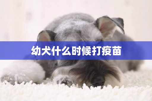 幼犬什么時候打疫苗