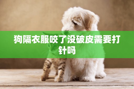 狗隔衣服咬了沒破皮需要打針嗎