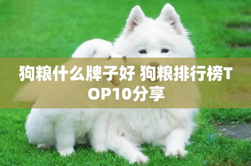 狗糧什么牌子好 狗糧排行榜TOP10分享