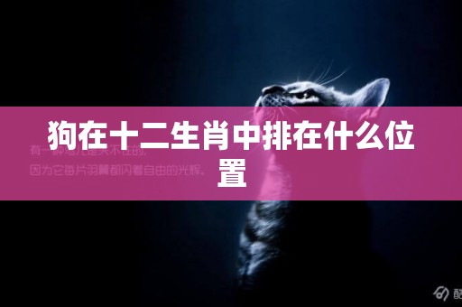 狗在十二生肖中排在什么位置