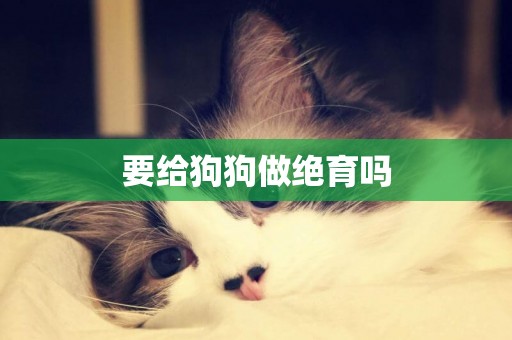 要給狗狗做絕育嗎