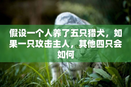 假設一個人養了五只獵犬，如果一只攻擊主人，其他四只會如何