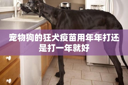 寵物狗的狂犬疫苗用年年打還是打一年就好