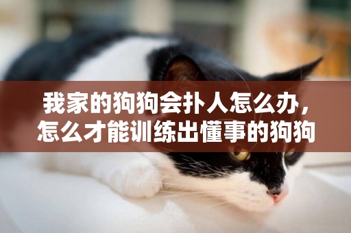 我家的狗狗會撲人怎么辦，怎么才能訓練出懂事的狗狗呢