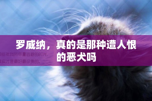 羅威納，真的是那種遭人恨的惡犬嗎