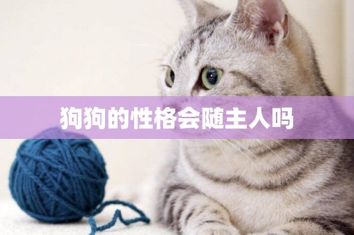 狗狗的性格會隨主人嗎