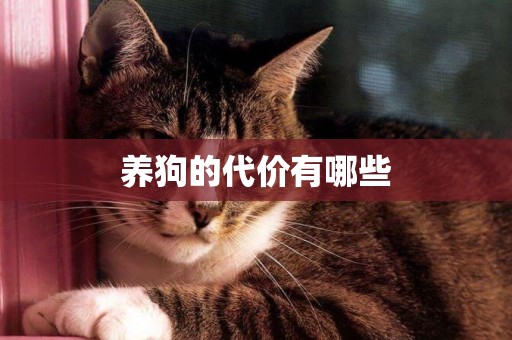 養狗的代價有哪些