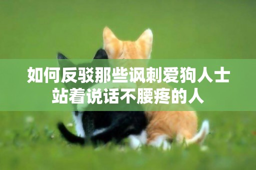 如何反駁那些諷刺愛狗人士站著說話不腰疼的人