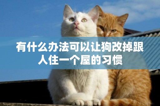 有什么辦法可以讓狗改掉跟人住一個屋的習慣