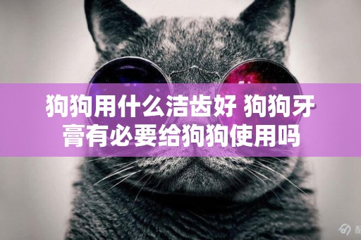 狗狗用什么潔齒好 狗狗牙膏有必要給狗狗使用嗎
