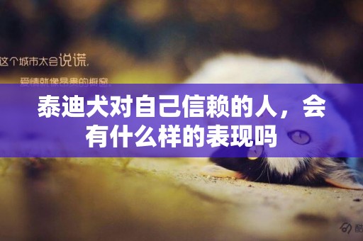 泰迪犬對自己信賴的人，會有什么樣的表現嗎
