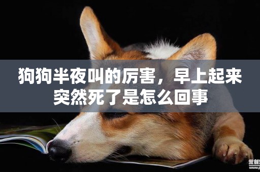 狗狗半夜叫的厲害，早上起來突然死了是怎么回事