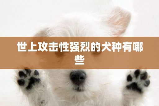 世上攻擊性強烈的犬種有哪些
