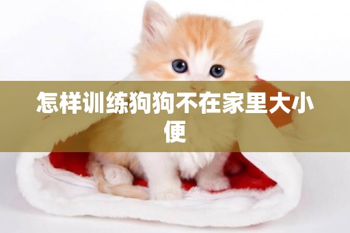 怎樣訓練狗狗不在家里大小便