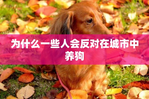 為什么一些人會反對在城市中養狗