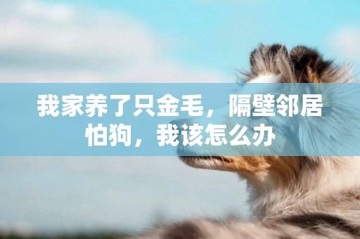我家養了只金毛，隔壁鄰居怕狗，我該怎么辦