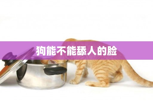 狗能不能舔人的臉