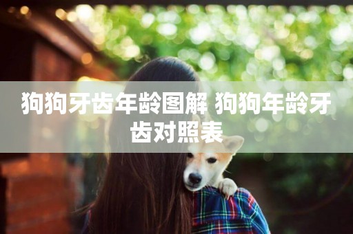 狗狗牙齒年齡圖解 狗狗年齡牙齒對照表