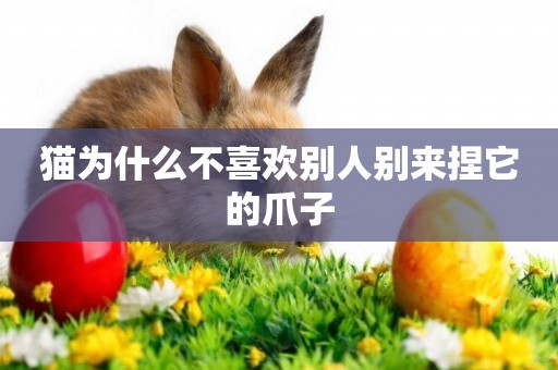 貓為什么不喜歡別人別來捏它的爪子