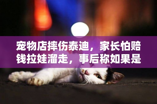 寵物店摔傷泰迪，家長怕賠錢拉娃溜走，事后稱如果是故意摔傷狗就