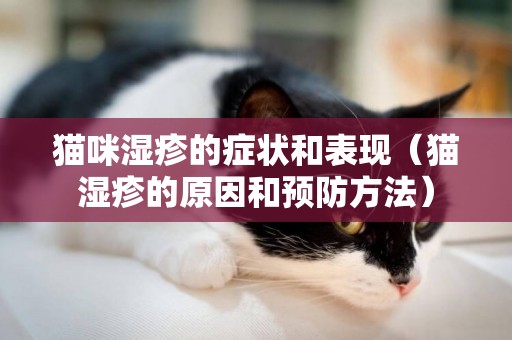貓咪濕疹的癥狀和表現（貓濕疹的原因和預防方法）