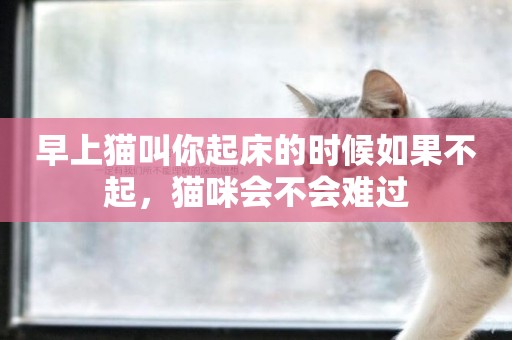 早上貓叫你起床的時候如果不起，貓咪會不會難過