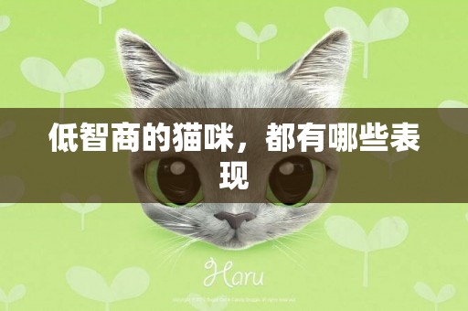 低智商的貓咪，都有哪些表現