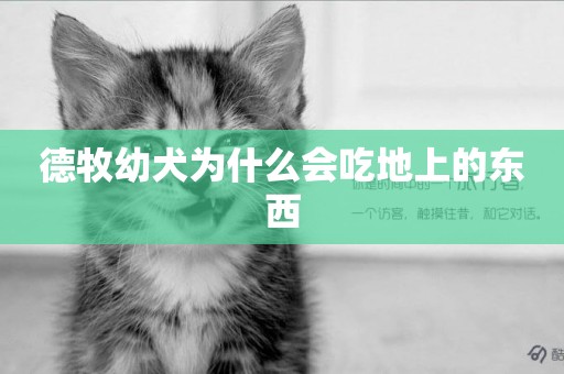 德牧幼犬為什么會吃地上的東西