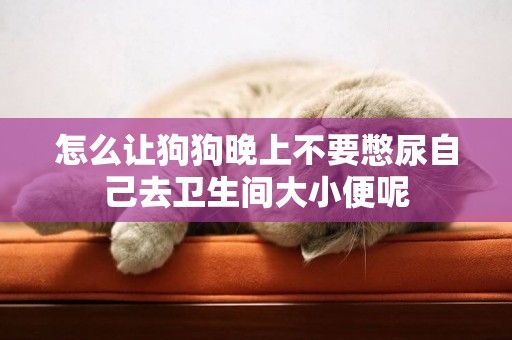 怎么讓狗狗晚上不要憋尿自己去衛生間大小便呢
