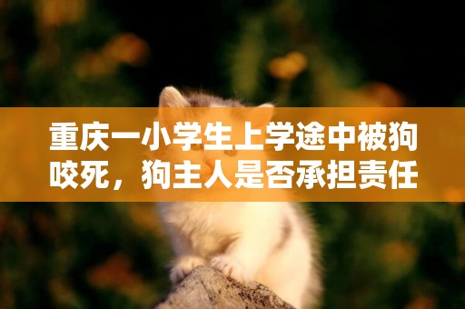 重慶一小學生上學途中被狗咬死，狗主人是否承擔責任，你怎么看