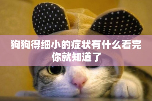 狗狗得細小的癥狀有什么看完你就知道了