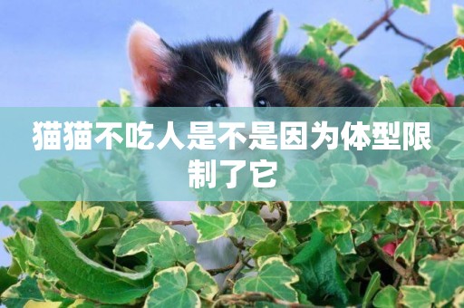 貓貓不吃人是不是因為體型限制了它