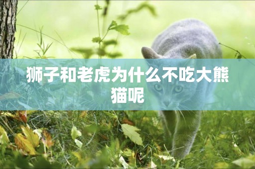 獅子和老虎為什么不吃大熊貓呢